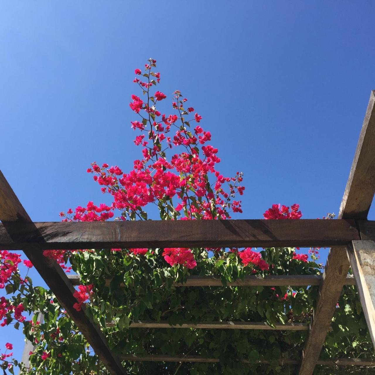 Angauel Inn Cerro Playa Rosada Palmar ภายนอก รูปภาพ