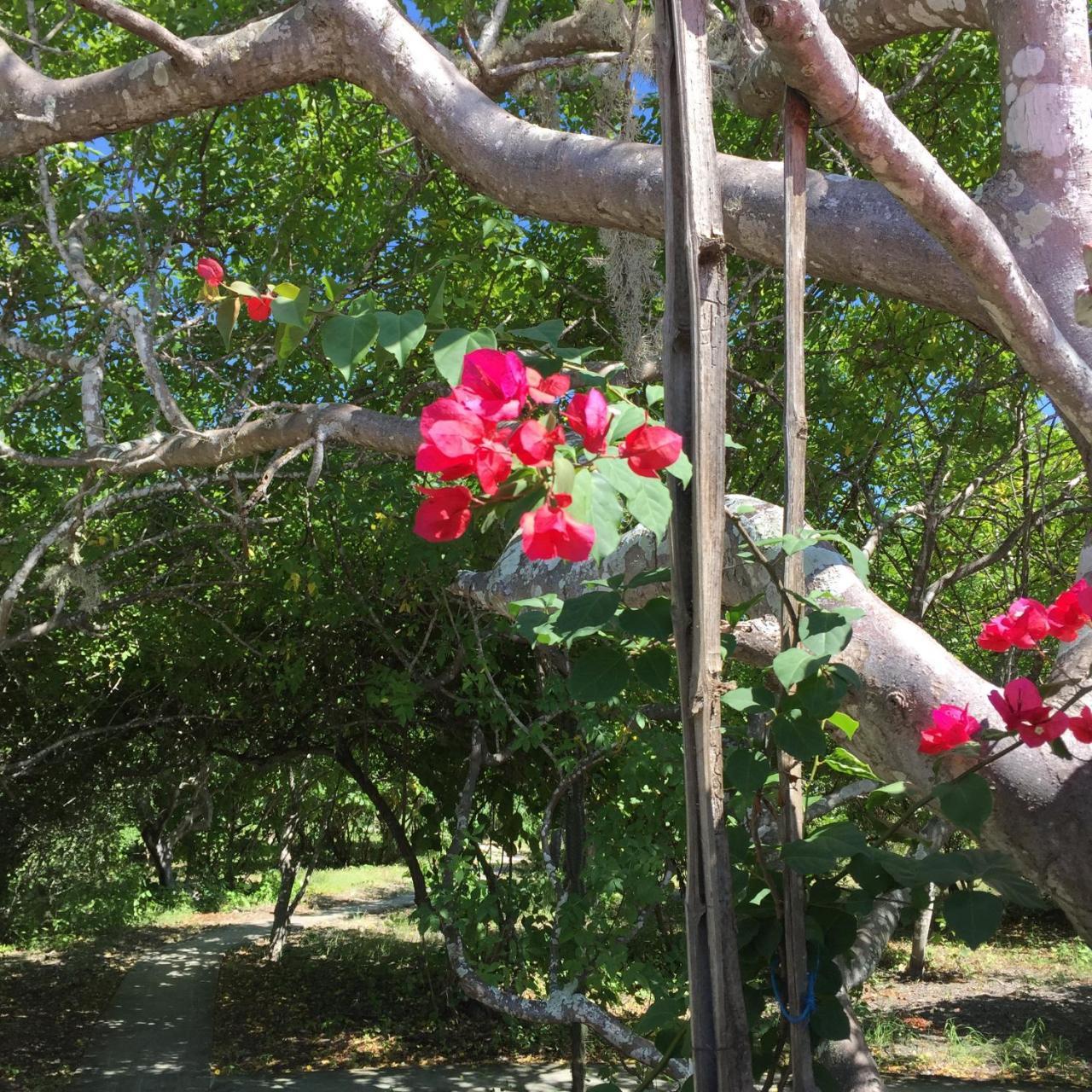 Angauel Inn Cerro Playa Rosada Palmar ภายนอก รูปภาพ