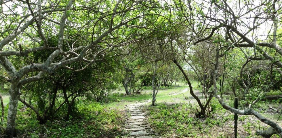 Angauel Inn Cerro Playa Rosada Palmar ภายนอก รูปภาพ